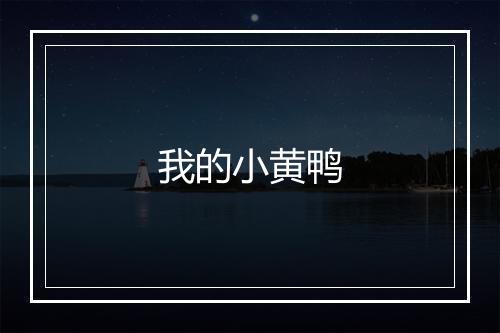 我的小黄鸭