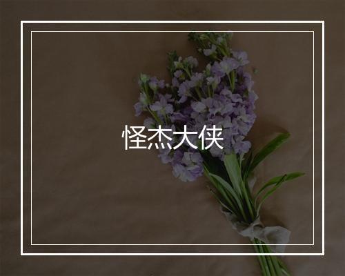 怪杰大侠