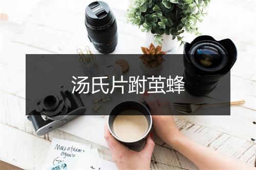 汤氏片跗茧蜂