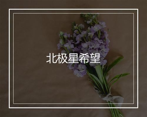 北极星希望