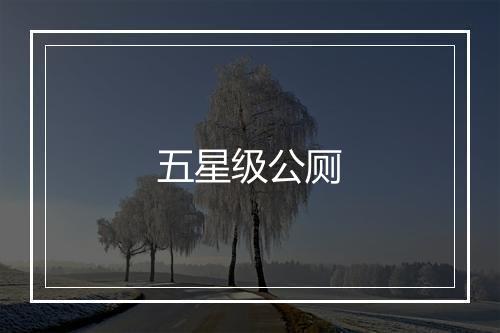 五星级公厕