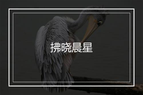 拂晓晨星