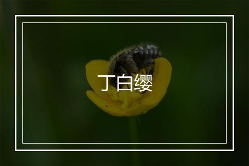 丁白缨