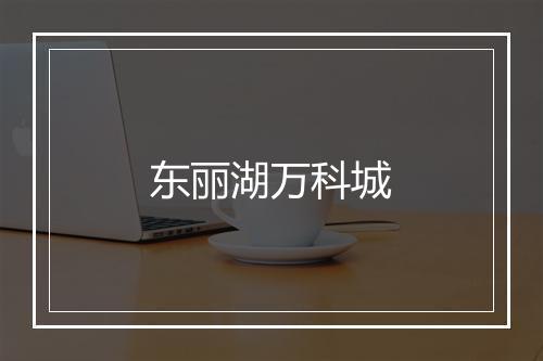 东丽湖万科城