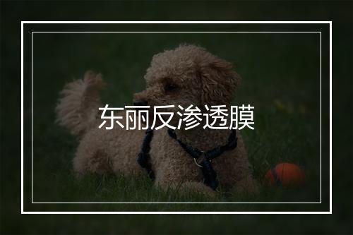 东丽反渗透膜