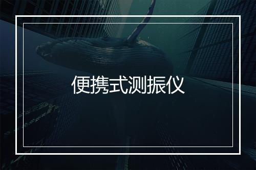 便携式测振仪