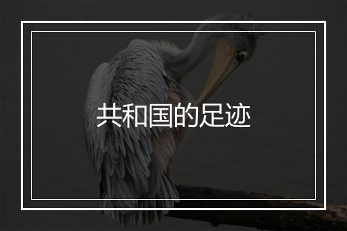 共和国的足迹