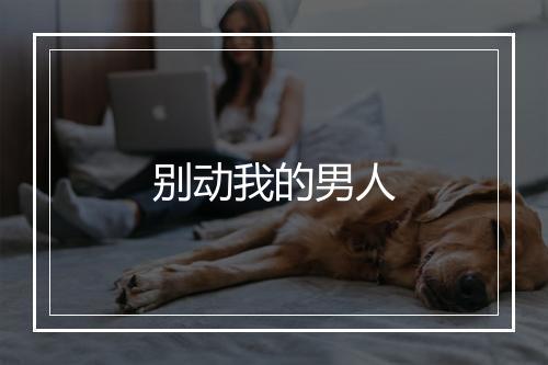 别动我的男人