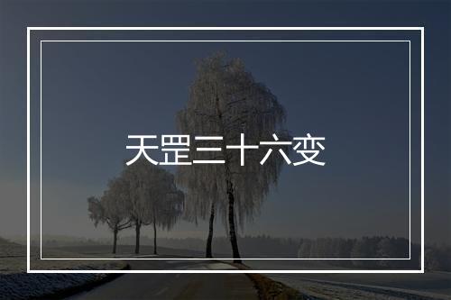 天罡三十六变