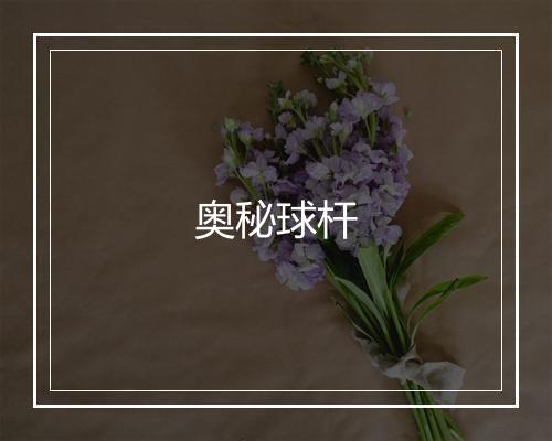 奥秘球杆