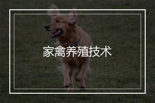 家禽养殖技术