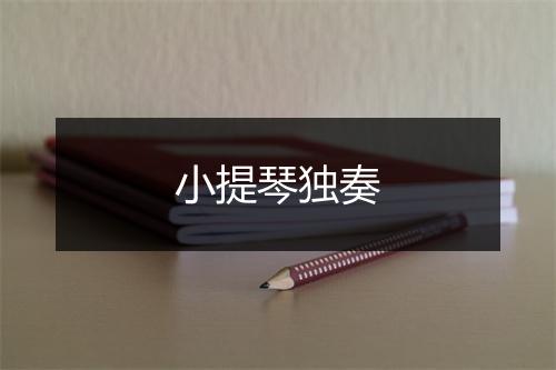 小提琴独奏