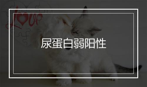 尿蛋白弱阳性