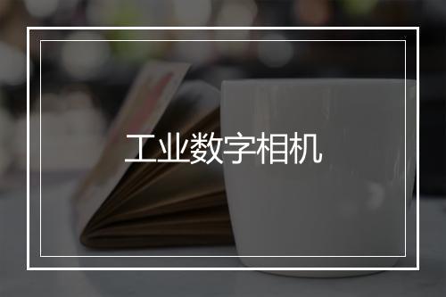 工业数字相机