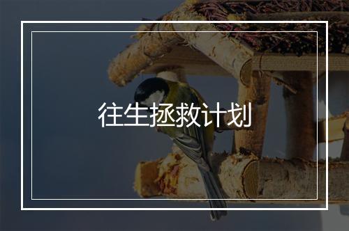 往生拯救计划