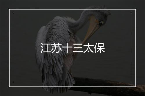 江苏十三太保