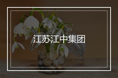 江苏江中集团