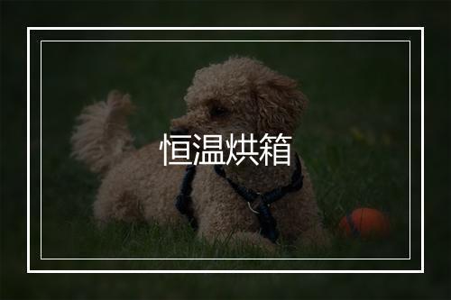 恒温烘箱