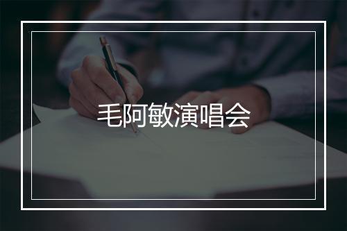 毛阿敏演唱会