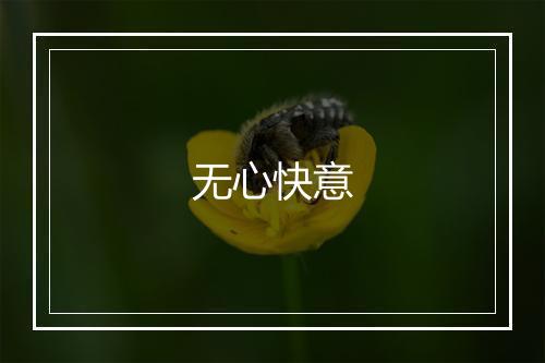 无心快意