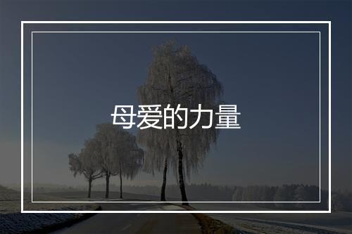 母爱的力量