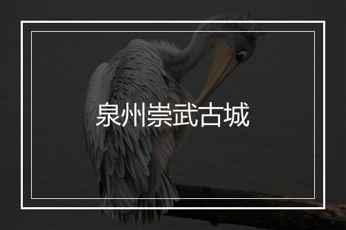 泉州崇武古城