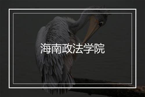 海南政法学院