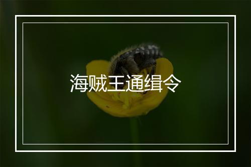 海贼王通缉令