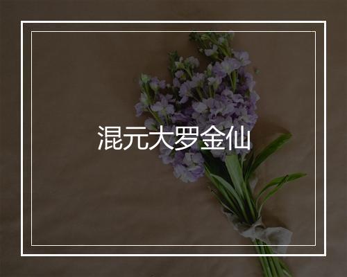 混元大罗金仙