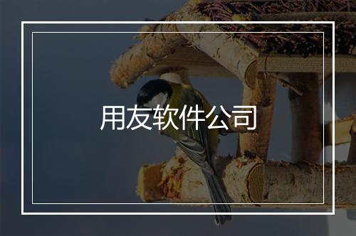 用友软件公司