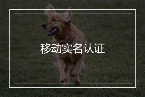 移动实名认证