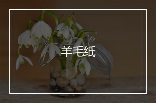 羊毛纸