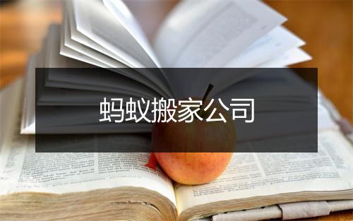 蚂蚁搬家公司