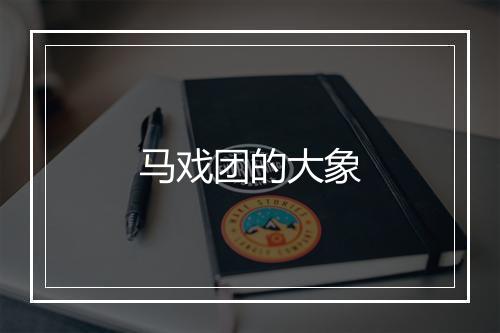 马戏团的大象