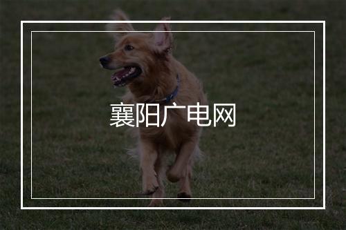 襄阳广电网