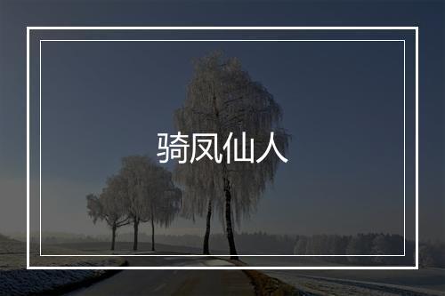 骑凤仙人