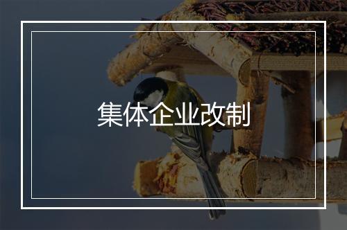 集体企业改制