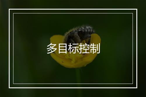 多目标控制