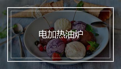 电加热油炉