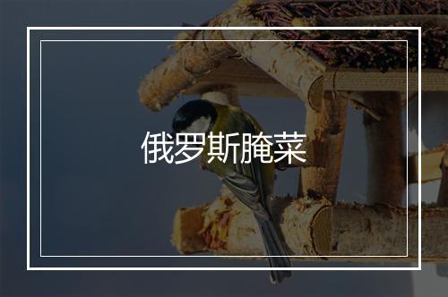 俄罗斯腌菜