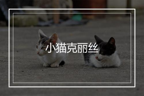 小猫克丽丝