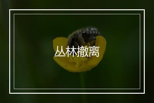 丛林撤离