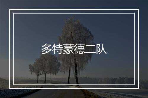 多特蒙德二队