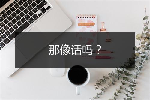 那像话吗？