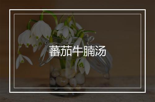 蕃茄牛腩汤