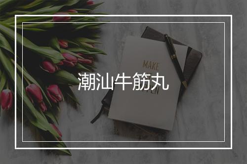 潮汕牛筋丸