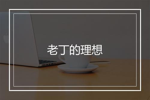 老丁的理想