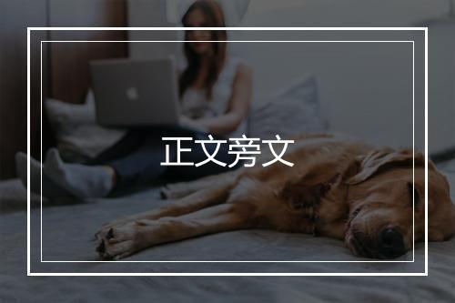 正文旁文