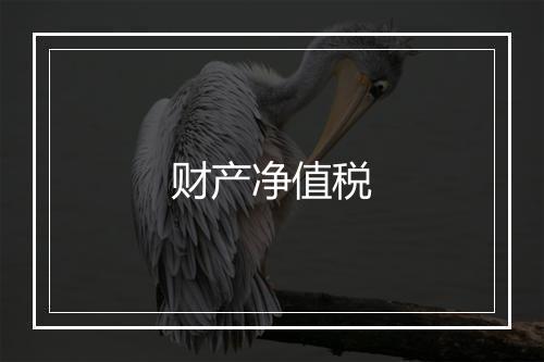 财产净值税