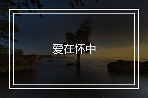 爱在怀中